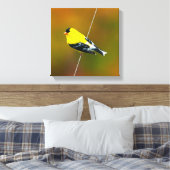 Amerikaanse Goldfinch - originele foto Canvas Afdruk (Insitu (Slaapkamer))