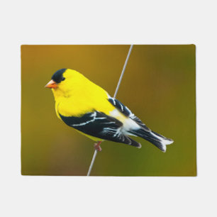 Amerikaanse Goldfinch - originele foto Deurmat