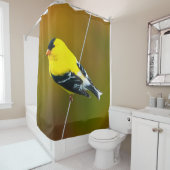 Amerikaanse Goldfinch - originele foto Douchegordijn (In situ)