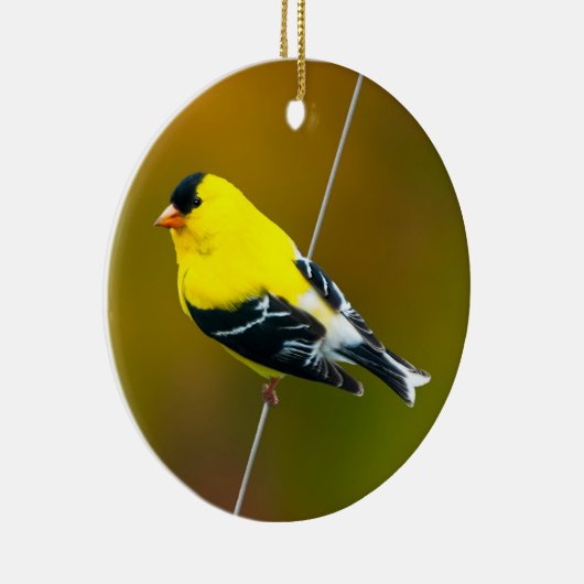 Amerikaanse Goldfinch - originele foto Keramisch Ornament (Rechts)