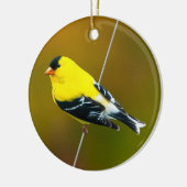 Amerikaanse Goldfinch - originele foto Keramisch Ornament (Links)