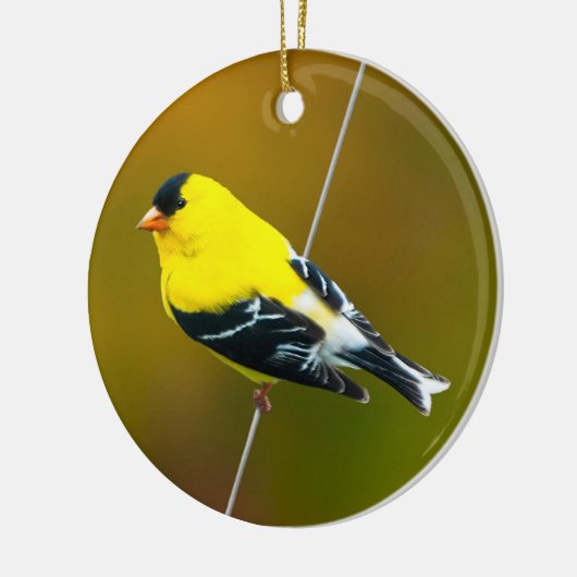 Amerikaanse Goldfinch - originele foto Keramisch Ornament (Links)