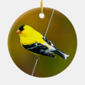 Amerikaanse Goldfinch - originele foto Keramisch Ornament (Achterkant)