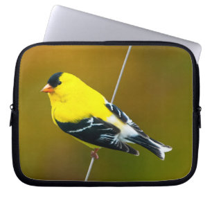 Amerikaanse Goldfinch - originele foto Laptop Sleeve