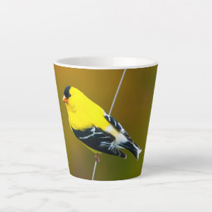 Amerikaanse Goldfinch - originele foto Latte Mok