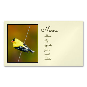 Amerikaanse Goldfinch - originele foto Magnetisch Visitekaartje