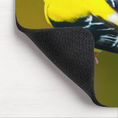 Amerikaanse Goldfinch - originele foto Muismat (Hoek)