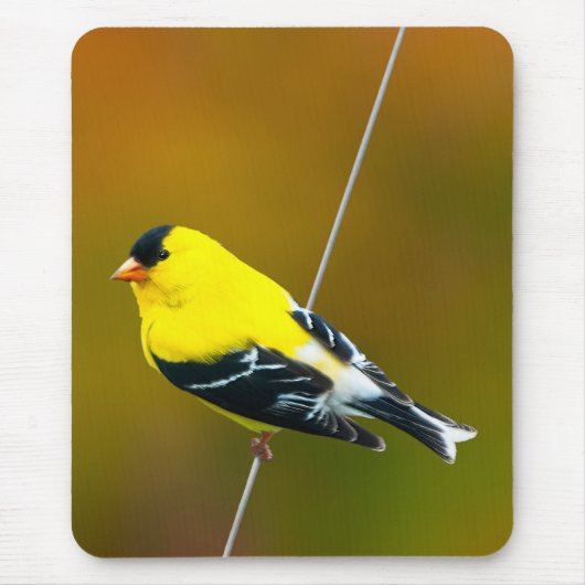 Amerikaanse Goldfinch - originele foto Muismat (Voorkant)