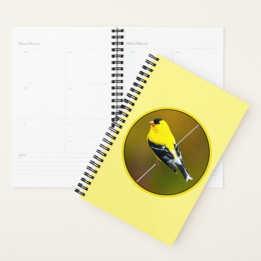 Amerikaanse Goldfinch - originele foto Planner (Display)