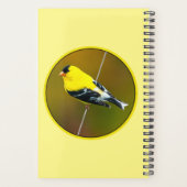 Amerikaanse Goldfinch - originele foto Planner (Achterkant)