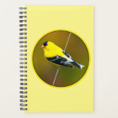 Amerikaanse Goldfinch - originele foto Planner (Voorkant)