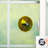Amerikaanse Goldfinch - originele foto Raamsticker (Huis)