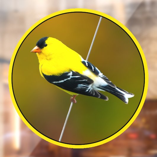 Amerikaanse Goldfinch - originele foto Raamsticker (Vel 2)