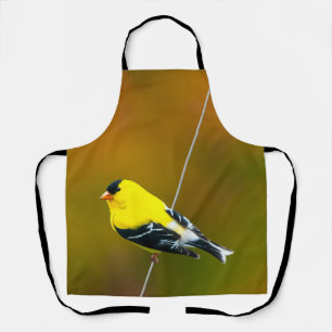 Amerikaanse Goldfinch - originele foto Schort