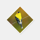 Amerikaanse Goldfinch - originele foto Servet (Hoek)