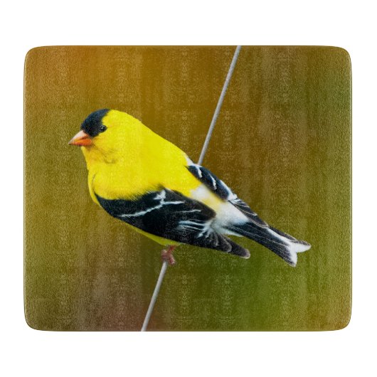 Amerikaanse Goldfinch - originele foto Snijplank (Voorkant)