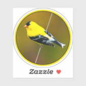 Amerikaanse Goldfinch - originele foto Sticker (Vel)