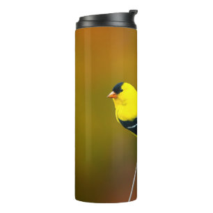 Amerikaanse Goldfinch - originele foto Thermosbeker