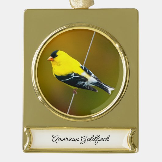 Amerikaanse Goldfinch - originele foto Verguld Banner Ornament (Voorkant)