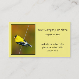 Amerikaanse Goldfinch - originele foto Visitekaartje