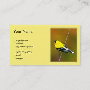 Amerikaanse Goldfinch - originele foto Visitekaartje
