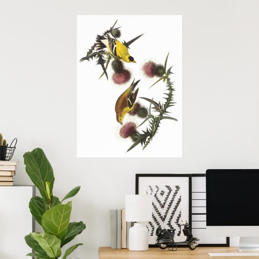 Amerikaanse Goldfinch Poster (Thuiskantoor)