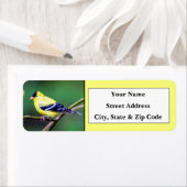 Amerikaanse Goldfinch retouradreslabels Etiket (Insitu)