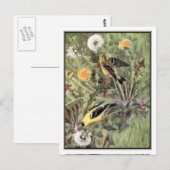 -Amerikaanse Goldfinch - Robert Bruce Horsfall Briefkaart (Voorkant / Achterkant)