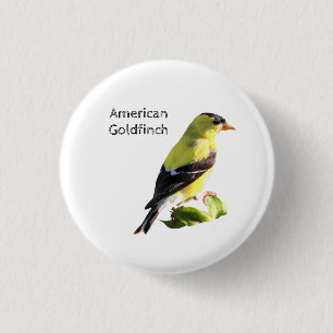 Amerikaanse Goldfinch Ronde Button 3,2 Cm