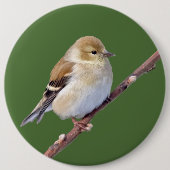 Amerikaanse Goldfinch Ronde Button 6,0 Cm (Voorkant)