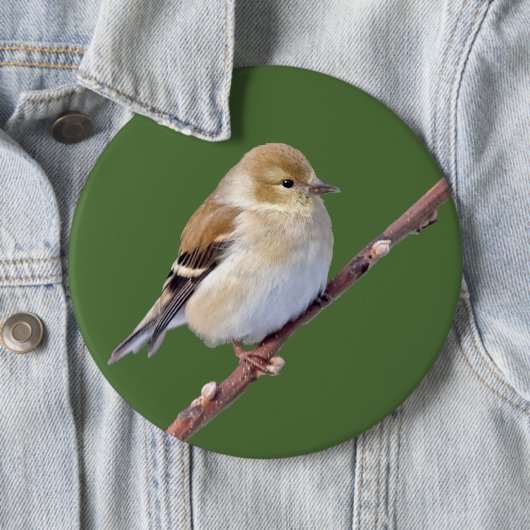 Amerikaanse Goldfinch Ronde Button 6,0 Cm (In situ)