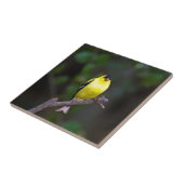 Amerikaanse Goldfinch-tegel Tegeltje (Zijkant)