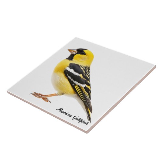 Amerikaanse Goldfinch Tegeltje (Zijkant)