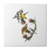Amerikaanse Goldfinch van Audubon Tegeltje (Voorkant)