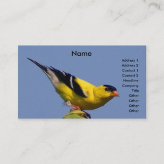Amerikaanse Goldfinch Visitekaartje
