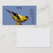 Amerikaanse Goldfinch Visitekaartje (Voorkant / Achterkant)