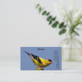 Amerikaanse Goldfinch Visitekaartje (Staand voorkant)