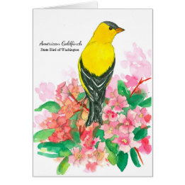 Amerikaanse Goldfinch Washington State Bird Blank