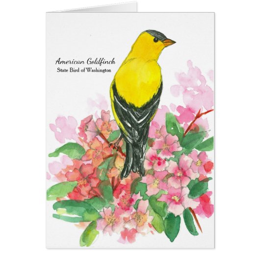 Amerikaanse Goldfinch Washington State Bird Blank (Voorkant)