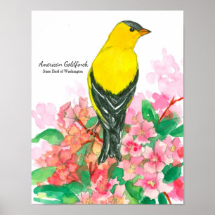 Amerikaanse Goldfinch Yellow in Washington State B Poster