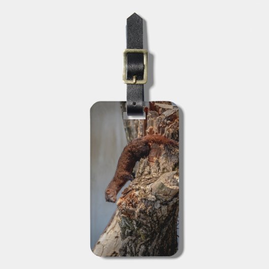 Amerikaanse gootsteen bagagelabel (Voorkant verticaal)