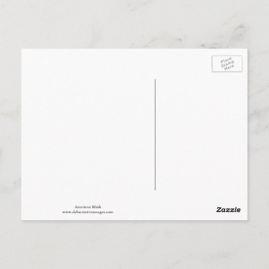 Amerikaanse gootsteen briefkaart (Achterkant)