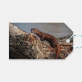 Amerikaanse gootsteen cadeaulabel (Voorkant (Horizontaal))