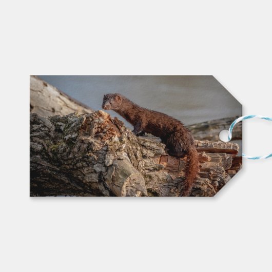 Amerikaanse gootsteen cadeaulabel (Voorkant (Horizontaal))