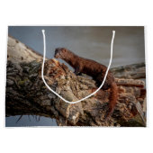 Amerikaanse gootsteen large cadeautasje (Voorkant)