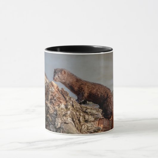 Amerikaanse gootsteen mok (Midden)