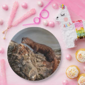 Amerikaanse gootsteen papieren bordje (Feest)