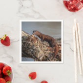 Amerikaanse gootsteen servetten (Insitu)