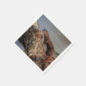 Amerikaanse gootsteen servetten (Hoek)