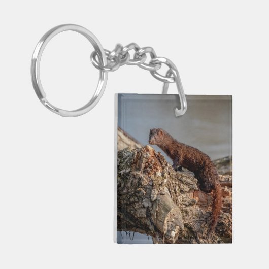 Amerikaanse gootsteen sleutelhanger (Voorkant Links)